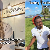 Bird Theory image examples from TikTok.