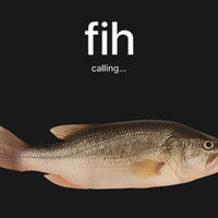 Fih meme.