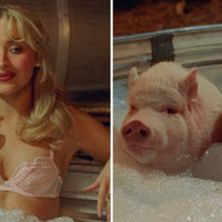 Hey Men and They Are Pigs meme and image examples depicting Sabrina Carpenter.