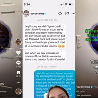 Da Vinki Twins Stolen Content Allegations image examples.