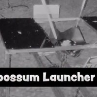 Ross Creations Opossum Launcher Controversy image example.