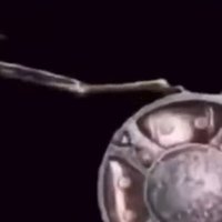 Skeleton Banging Shield meme.