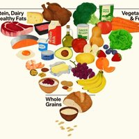 RFK Jr. new food pyramid image example.