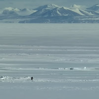 Penguin Mountain / Lonely Penguin meme depicting a penguin walking alone in the snow toward mountains.