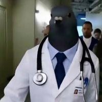 AI Pigeon Doctor Walking Down Hallway