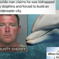 Gerald the dolphin kidnaps florida man and forces him to build underwater city conspiracy theory image examples.