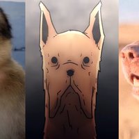 Why Do You Keep Remembering meme image examples.