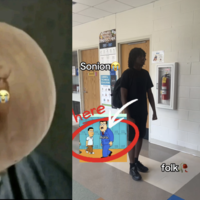 Sonion meme example images.