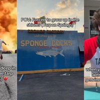 Three examples of memes about Tarpon Springs.