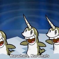 Narwhals Song image example.