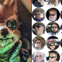 Star Fox Remake Character Designs Controversy meme and image example.