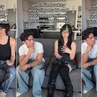 Femboy Potential meme example.