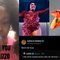 Fat Lizzo / I Hate You Fat Lizzo meme.