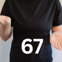 67 Hand Gesture image example.