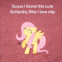 Flutteryshy Filter
