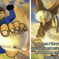 Eagle Catching Baseball / How Fast I Caught That Reference meme examples.