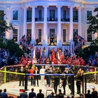 White House UFC Freedom 250 Event image example.
