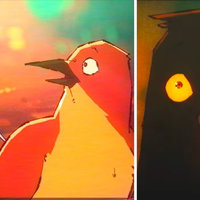 Birds For Some Reason meme and viral video image examples.