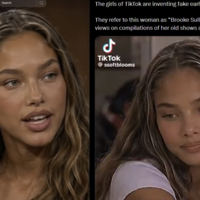 Brooke Sullivan image examples.