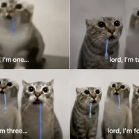 Lord I'm One 500 Miles meme example depicting drooling cats.