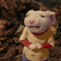 Scared Stuart Little / Scared Mouse meme image examples.