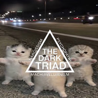 Three Kittens Dancing / The Dark Triad meme and image example.