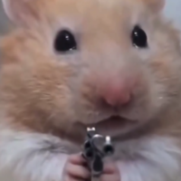 Hamster Holding Gun / Hurt Hammy meme example image.