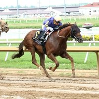 Skibidi Rizz (racehorse)
