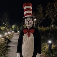 Cat In the Hat Trend image example.