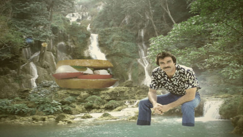 Selleck Waterfall Sandwich