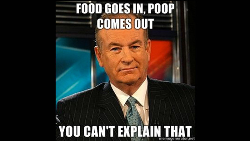 Bill O'Reilly You Can't Explain That