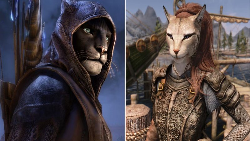 Skyrim-khajiit-feature-1