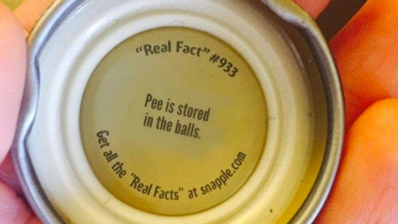 Snapple Facts "Real Fact"