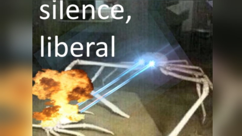 crab shooting lasers from its eyes under the caption silence, liberal