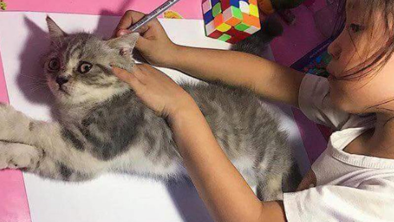 Girl Tracing Cat