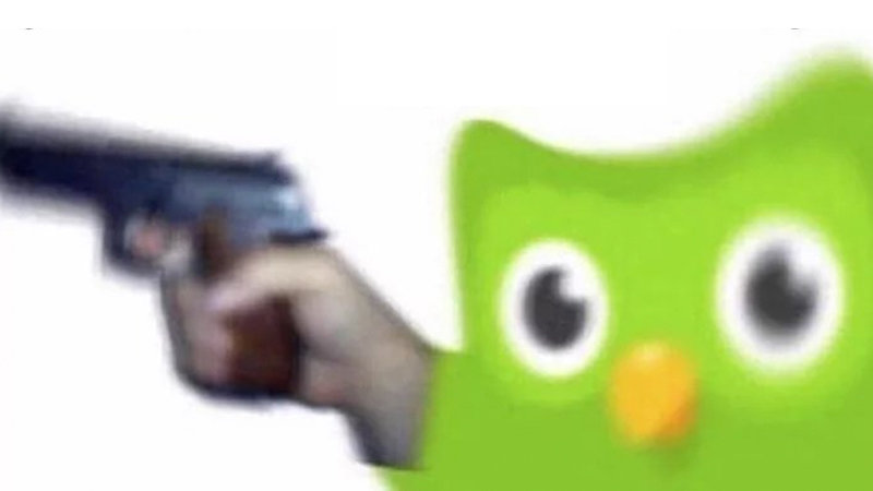 Duolingo owl holding a gun duolingo memes.