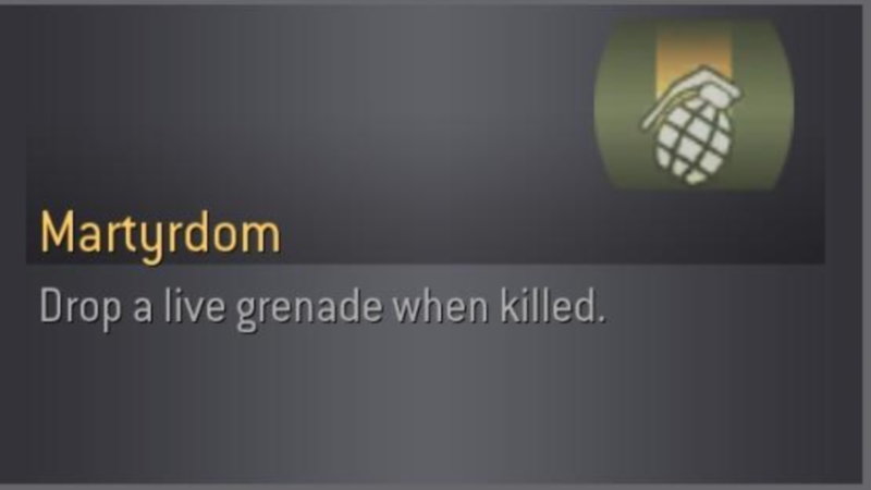 Martyrdom (Drop a Live Grenade When Killed)