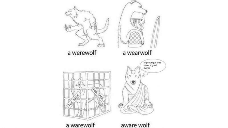 Aware Wolf