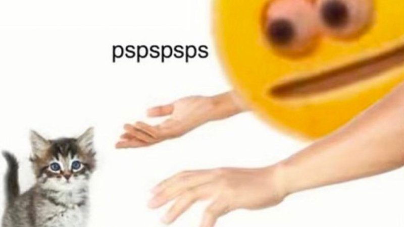 stressed emoji reaching hands to a kitten and pspspspsing