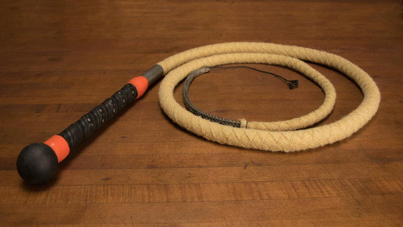 Fire-whip-overview