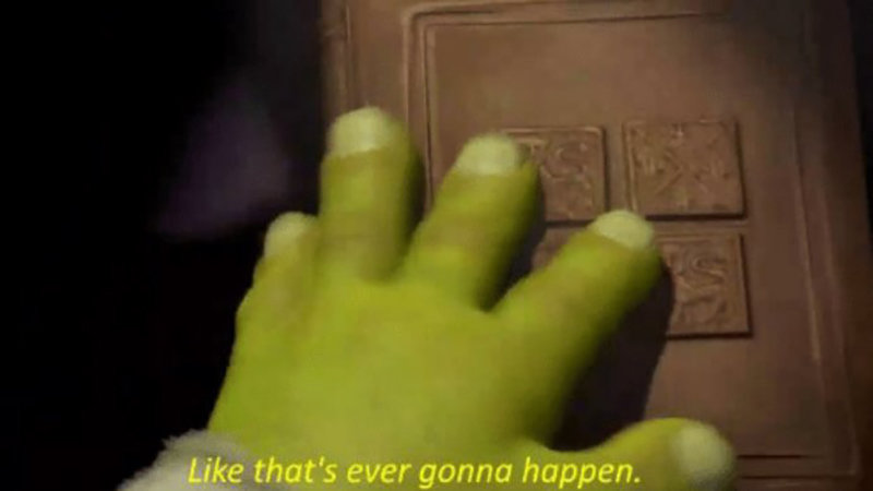 Like That's Ever Gonna Happen Shrek reaction image