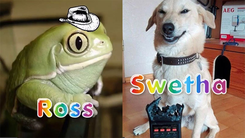 Ross the frog in a cowboy hat and Swetha the dog who chewed a remote control