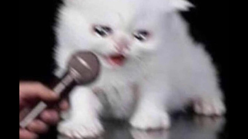 Thumbs Up Crying Cat Know Your Meme Thumbs Up Crying Cat Know Your Meme