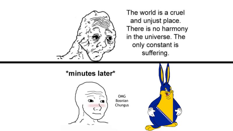 The World is a Cruel and Unjust Place meme example depicting Wojak reacting to bosnian chungus.