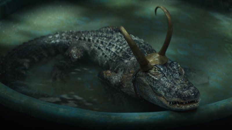 Alligator Loki meme character from the Loki TV series depicting a gator with Loki horns.