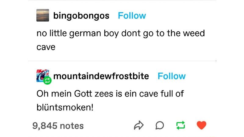 Oh Mein Gott Zees Is Ein Cave Full Of Blüntsmoken meme and tumblr post.