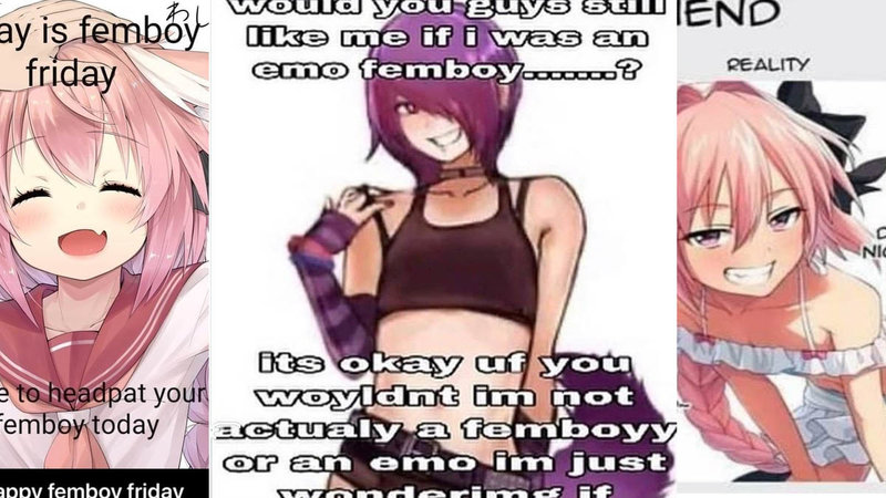 Femboy Memes depicting anime characters depicted as fem boys.