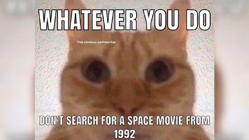 Don't search Space Movie 1992 meme example depicting a cat.