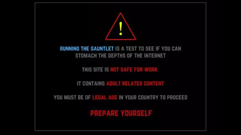 Run the Gauntlet Challenge shock site warning page.