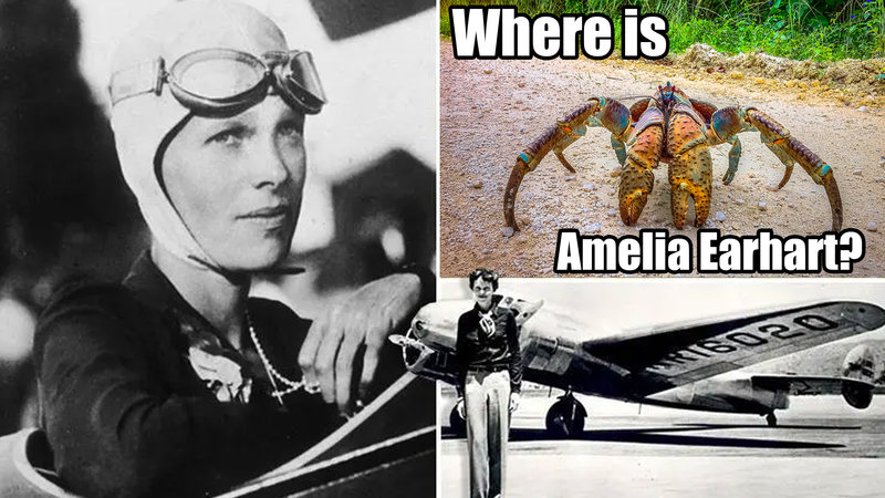 Amelia Earhart Eaten By Coconut Crabs Theory and memes.